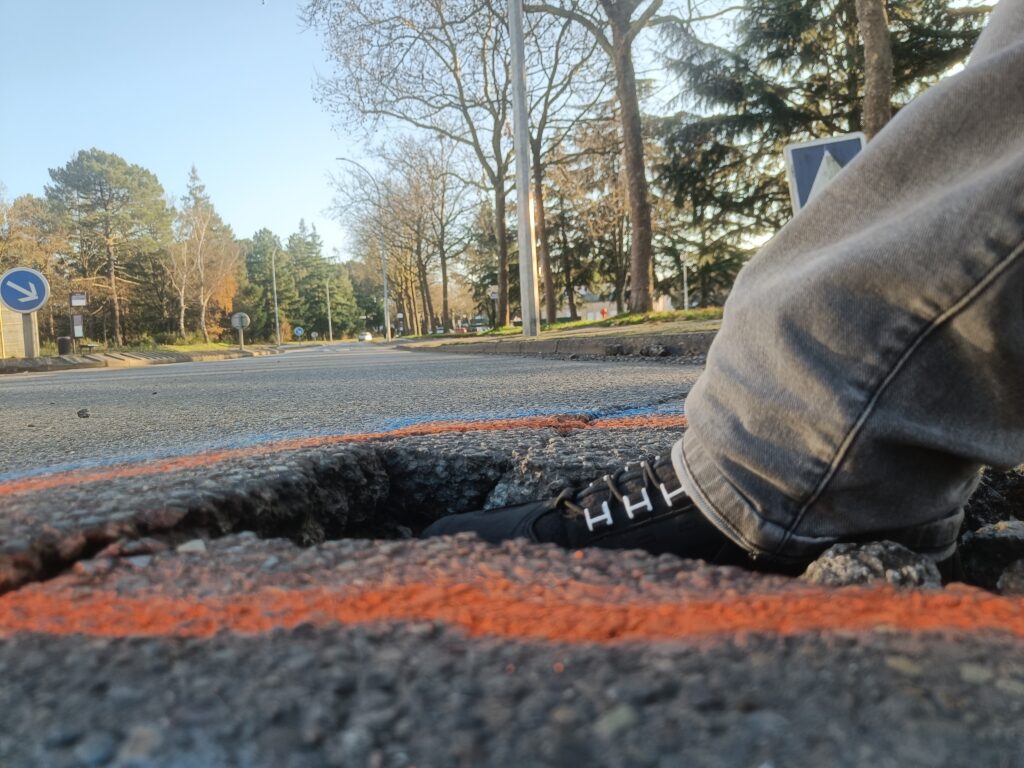 Avenue des platanes - Le Mans